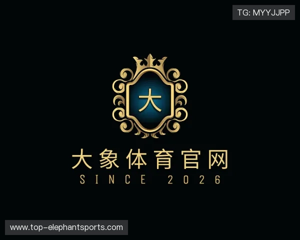 介绍大象体育官网